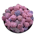 Bubble Gum Gushies | Signature Coated Fruit Snacks