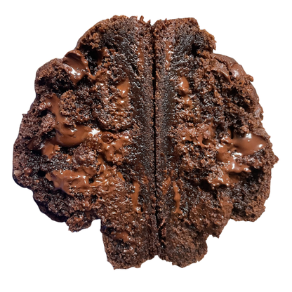 Midnight Double Chocolate Chunk